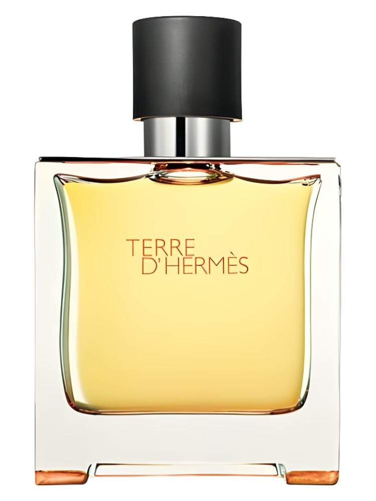 HERMES TERRE D'HERMES (M) EDT 100ML