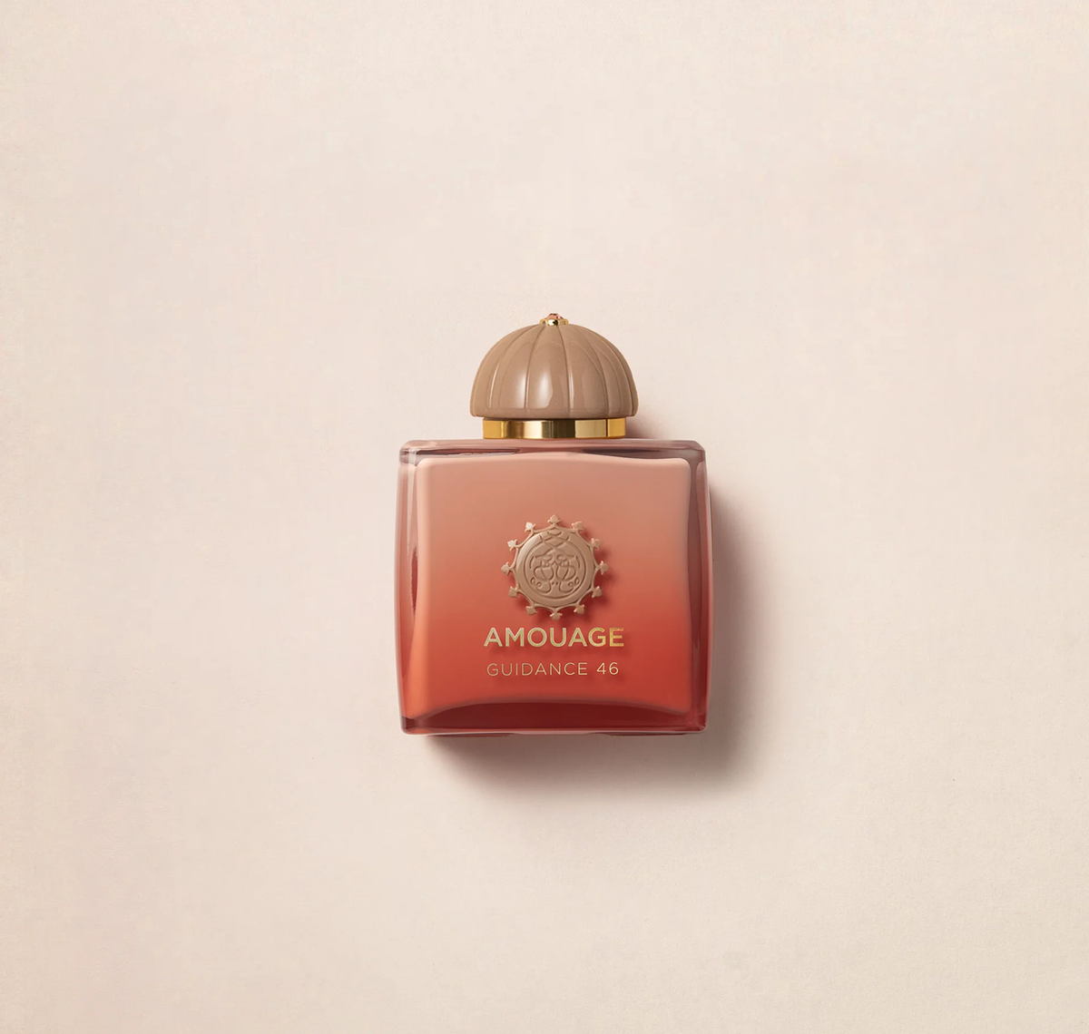AMOUAGE GUIDANCE 46 (W) EXTRAIT DE PARFUM 100 ML