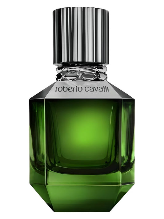 ROBERTO CAVALLI PARADISE FOUND (M) EDT 75ML