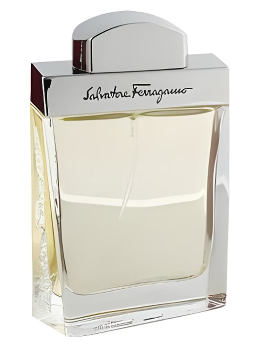 SALVATORE FERRAGAMO POUR HOMME (M) EDT 30ML